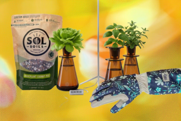 19 Best Gifts for Plant Lovers and Gardeners (2026)