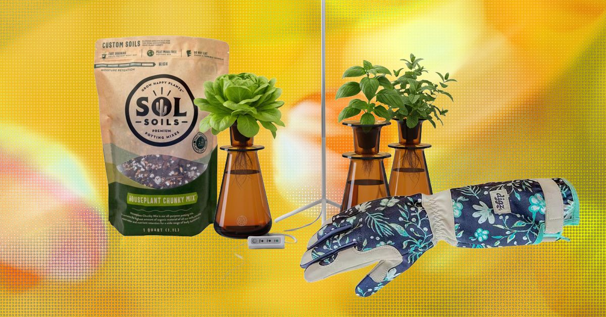 19 Best Gifts for Plant Lovers and Gardeners (2026)
